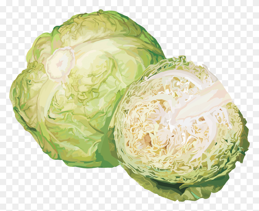 6550x5242 Vegetales Png / Vegetales Hd Png