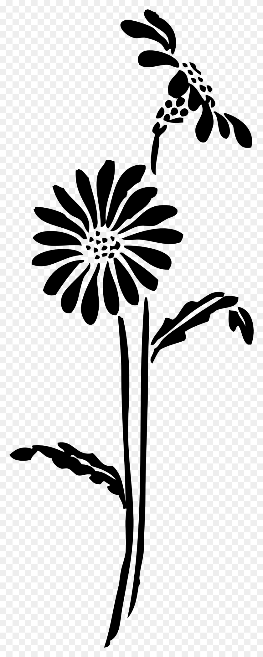 999x2611 Clip Arts Related To Flower Silhouette No Background, Plant, Blossom, Petal HD PNG Download