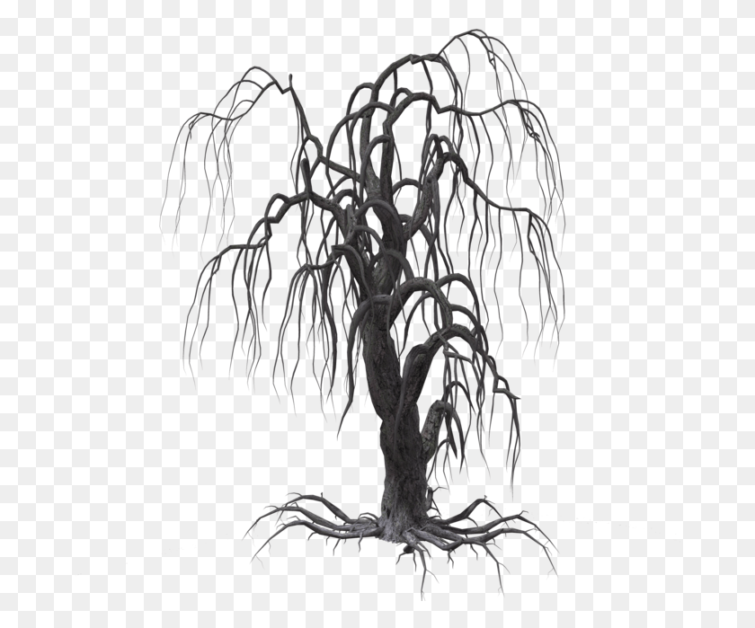 676x639 Clip Arts Related To Sketch, Tree, Plant, Root HD PNG Download