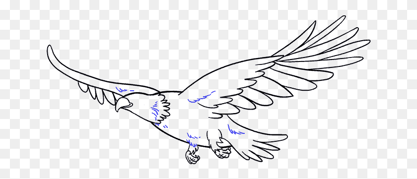 654x301 Clip Black And White How To Draw An Eagle In A Eagle Drawing, Light, Flare HD PNG Download