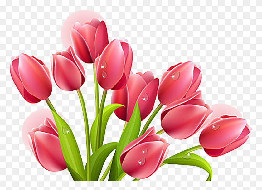 1338x943 Clip Free Stock Tulip Flower Bouquet Clip Art Transprent Tulip Clip Art Flowers, Plant, Flower, Blossom HD PNG Download