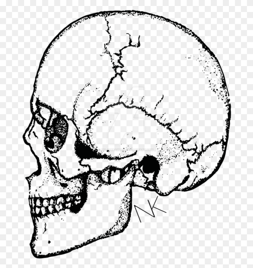 696x832 Clip Freeuse Part Drawing Skull Illustration, Symbol, Text, Alphabet HD PNG Download