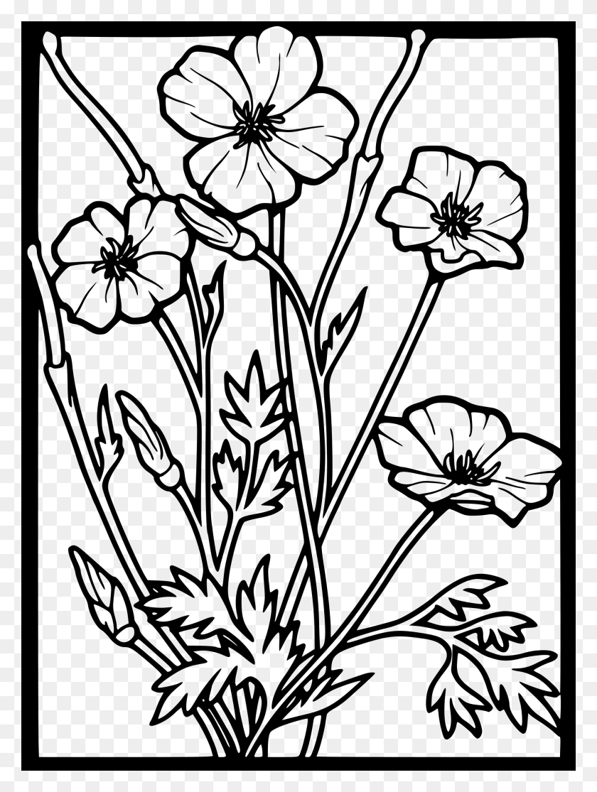 1774x2400 Clip Freeuse Public Domain Clip Art Image Poppies Clipart Black And White, Gray, World Of Warcraft HD PNG Download