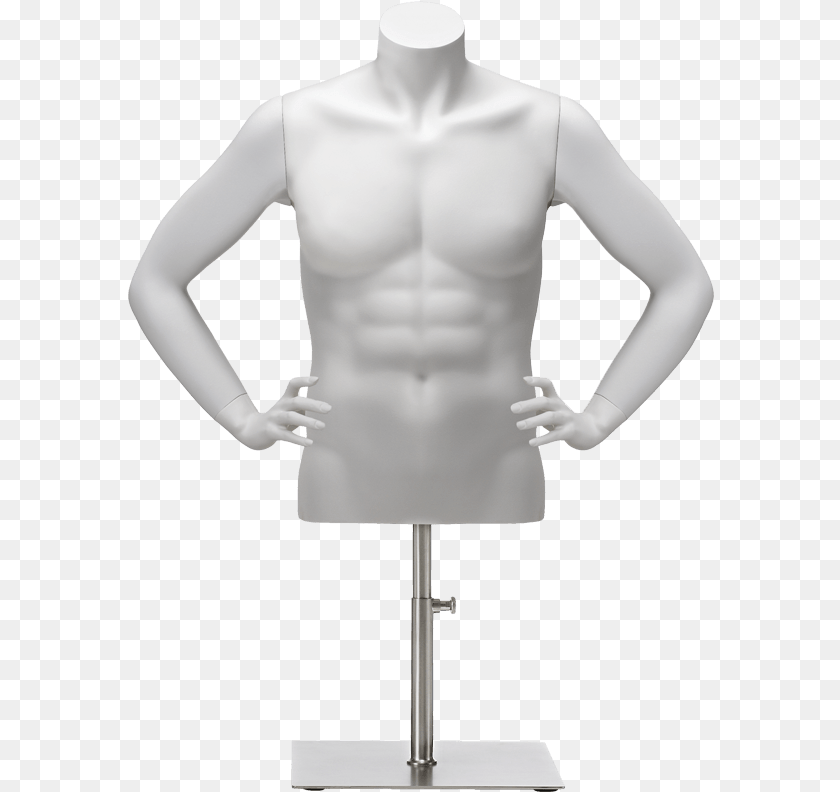 587x792 Clip In Torso Female A Arms Mannequin Headless Torso, Body Part, Person, Blouse, Clothing Sticker PNG