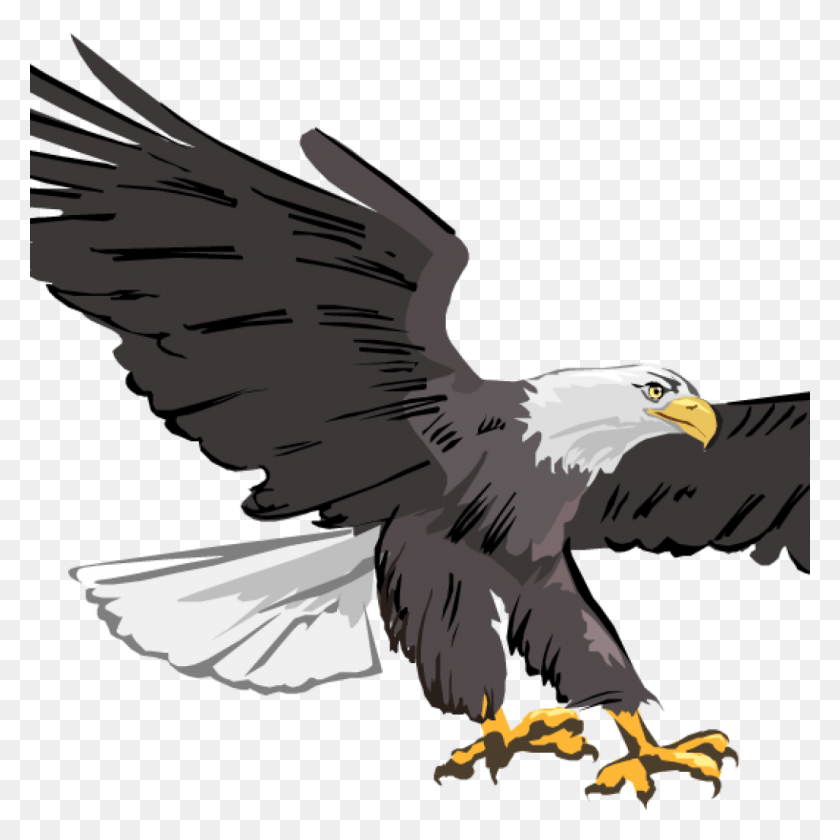 1024x1024 Clip Library Library Free Hatenylo Com Bald Images Clip Art Eagle, Bird, Animal, Bald Eagle HD PNG Download