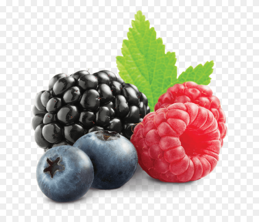 640x660 Clip Libre De Regalías Fruta Transparente Berry Berry Transparent, Plant, Blueberry, Food Hd Png