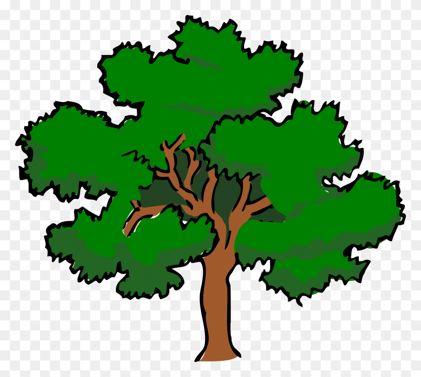 2342x2081 Png Дуб, Дерево, Растение, Корень Png Скачать