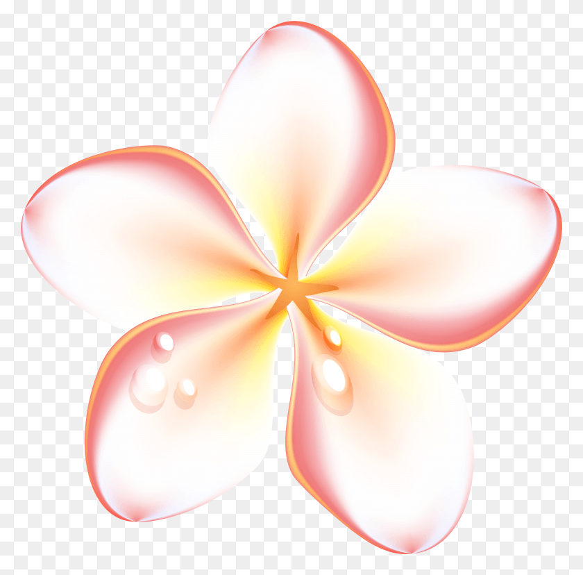 4895x4823 Clip Transparent Stock Exotic Transparent Clip Images Of Summer Flowers HD PNG Download