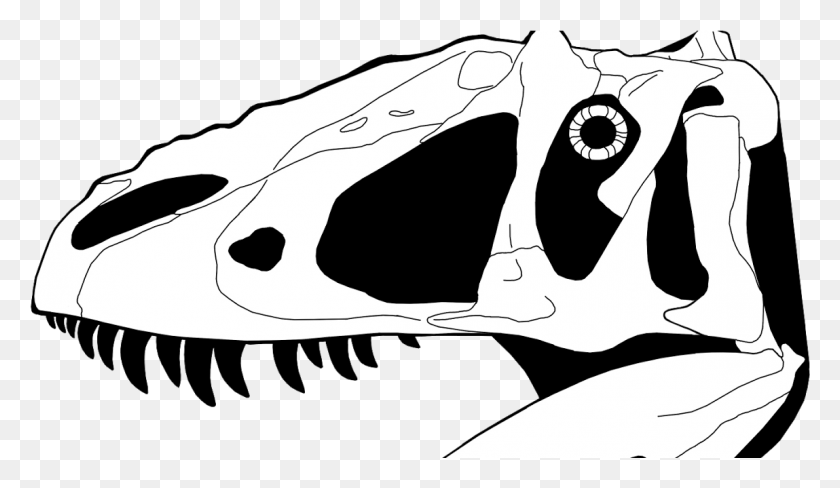 1149x631 Descargar Png Clip Transparente Stock Fossil Clipart Carne Hueso Dinosaurio Cráneo Página Para Colorear, Animal, Ropa, Ropa Hd Png