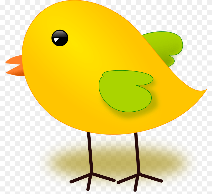 800x770 Clipart, Animal, Bird PNG