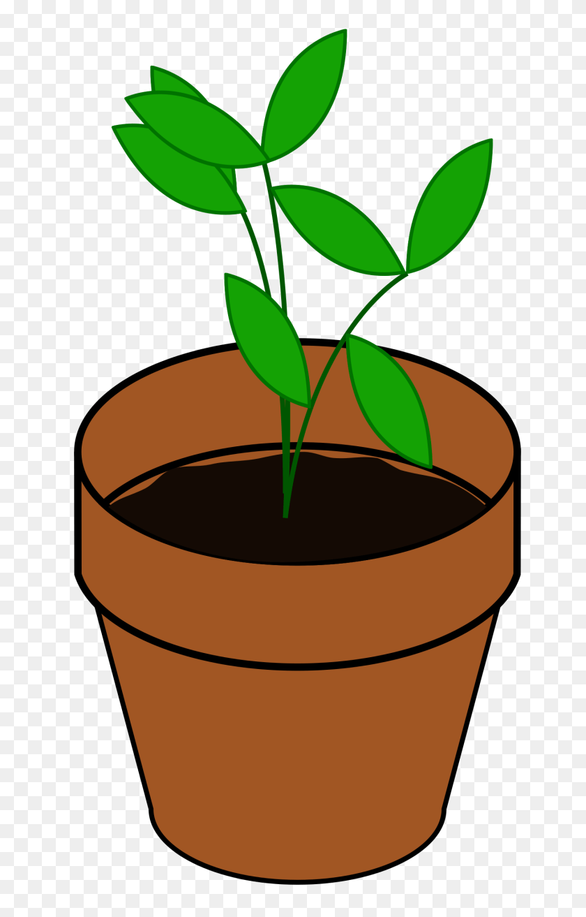 1536x2400 Clipart, Leaf, Plant, Potted Plant, Cookware Sticker PNG