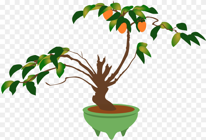 Clipart, Leaf, Plant, Potted Plant, Tree Transparent PNG