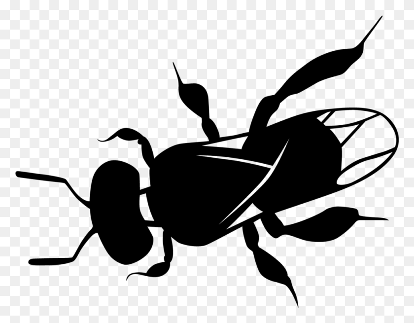 970x741 Clipart Bee Path Australian Native Bee Drawing, Gray, World Of Warcraft HD PNG Download