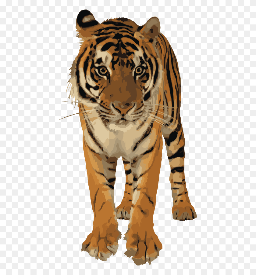 455x840 El Tigre De Bengala Real Png / La Vida Silvestre Png