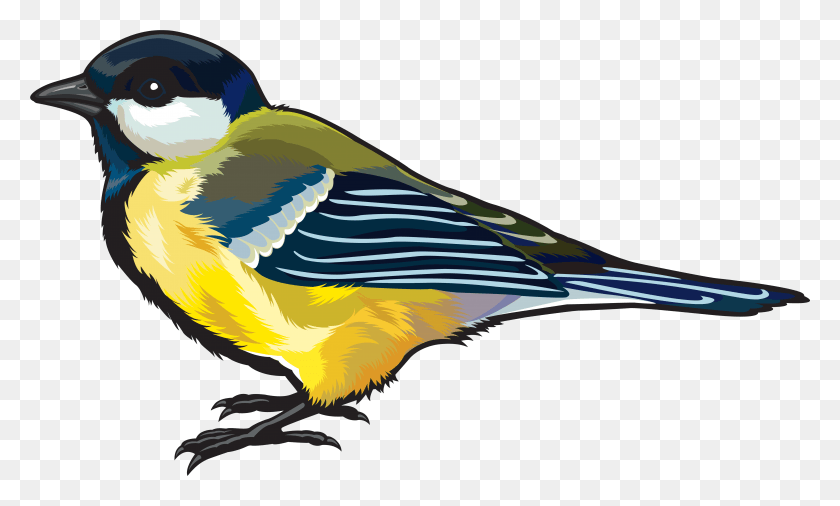 6171x3535 Clipart Birds, Jay, Bird, Animal HD PNG Download
