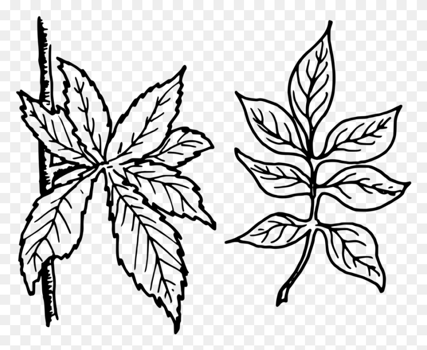 881x711 Clipart Black And White Leaves, Gray, World Of Warcraft HD PNG Download