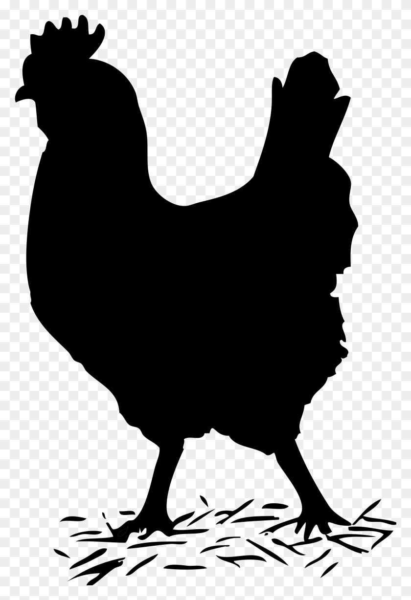 1596x2391 Clipart Black And White Picture Of Hen, Gray, World Of Warcraft HD PNG Download