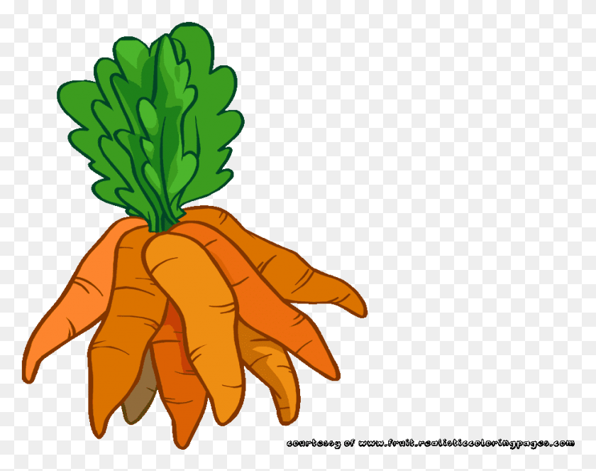 917x710 Clipart Carrot, Plant, Vegetable, Food HD PNG Download