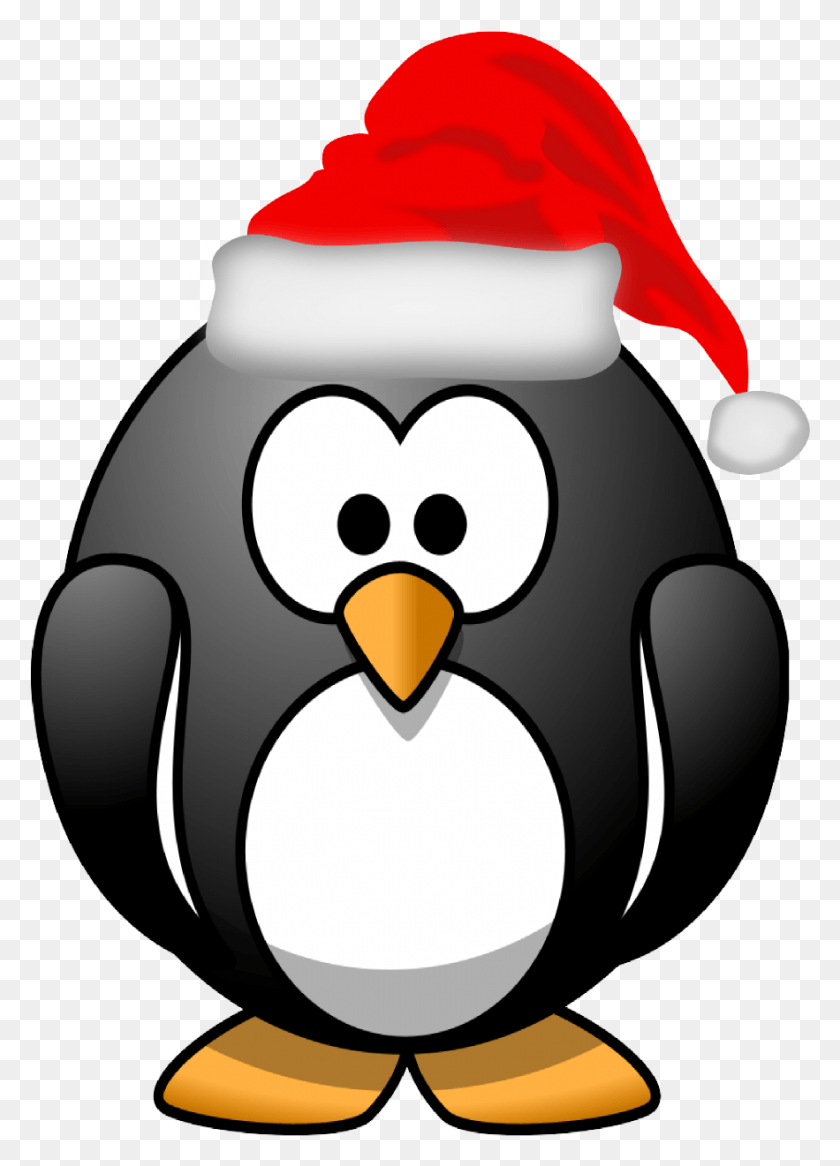 883x1253 Clipart Cartoon Christmas Images, Penguin, Bird, Animal HD PNG Download
