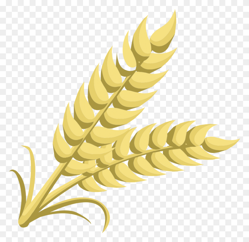825x800 Clipart Clipart Of Grain, Plant, Vegetable, Food HD PNG Download