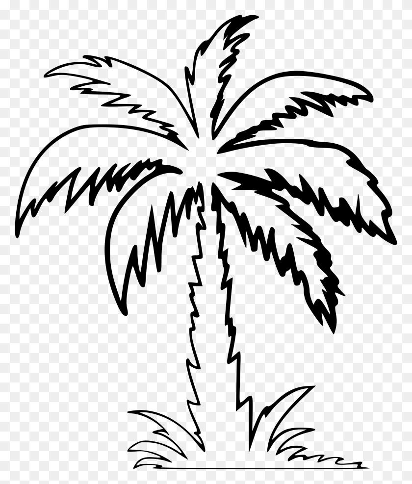 2002x2381 Clipart Clipart Palm Tree White, Gray, World Of Warcraft HD PNG Download