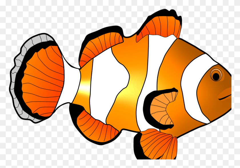 1056x715 Clipart Coral Reef Fish, Animal, Amphiprion, Sea Life HD PNG Download