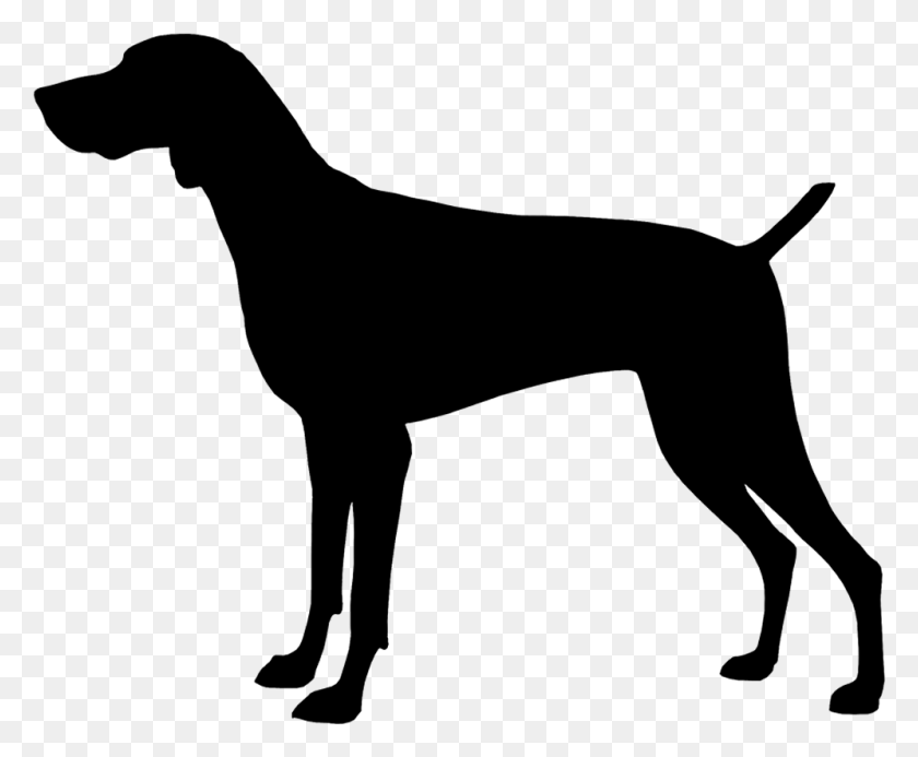 996x809 Clipart Dogs Gsp Horse Side View Silhouette, Gray, World Of Warcraft HD PNG Download