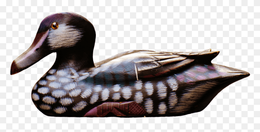 875x413 Clipart Duck Mallard Duck Mallard, Bird, Animal, Waterfowl HD PNG Download