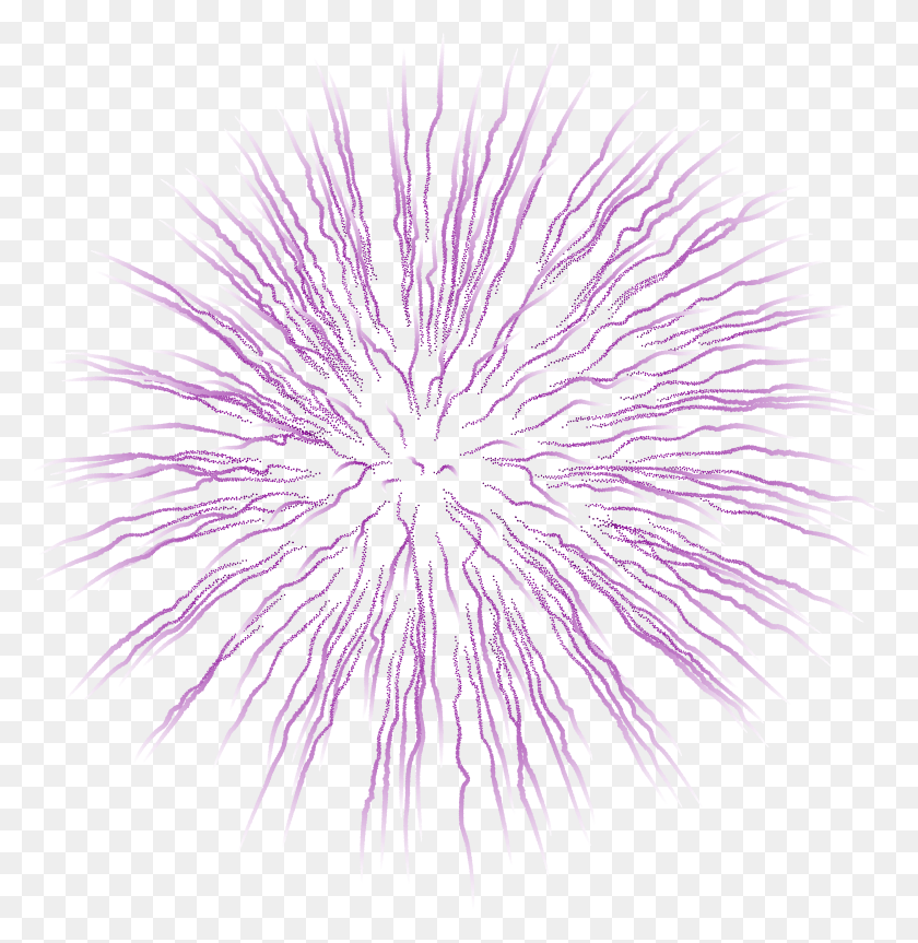 4789x4935 Clipart Fireworks Purple Firework Vector Gif, Nature, Outdoors, Night HD PNG Download