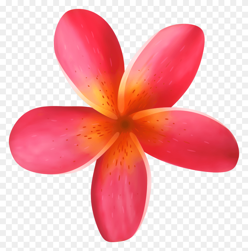 7699x7813 Clipart Flowers Tropical HD PNG Download