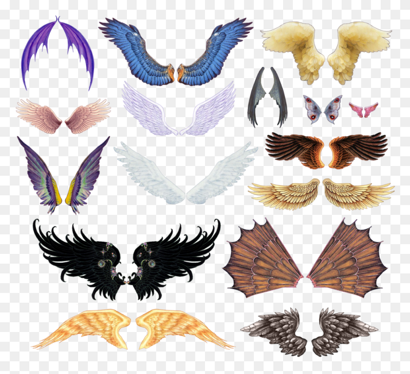 976x884 Clipart For Photoshop Creature Wings, Eagle HD PNG Download