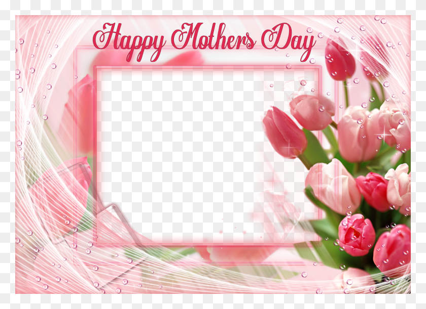 1600x1131 Clipart Frames Mothers Day, Plant, Flower, Blossom HD PNG Download