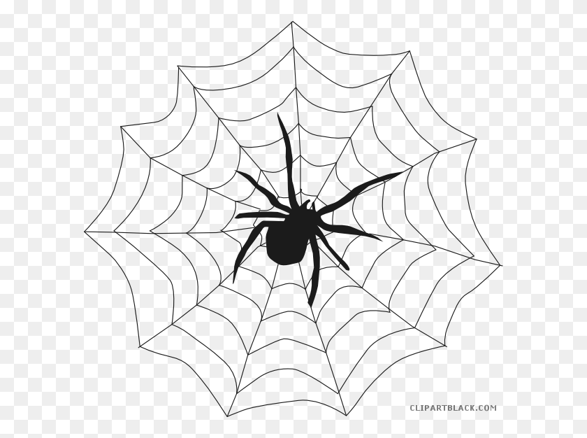 600x566 Clipart Free Library Halloween Spider Animal Free Images Halloween Pictures Black And White, Spider Web HD PNG Download