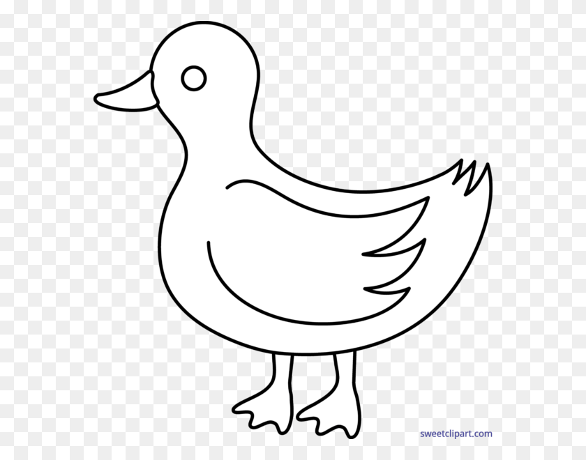 572x600 Clipart Free Stock Duck Free On Dumielauxepices Net Duck Clipart Black And White, Bird, Animal, Goose HD PNG Download
