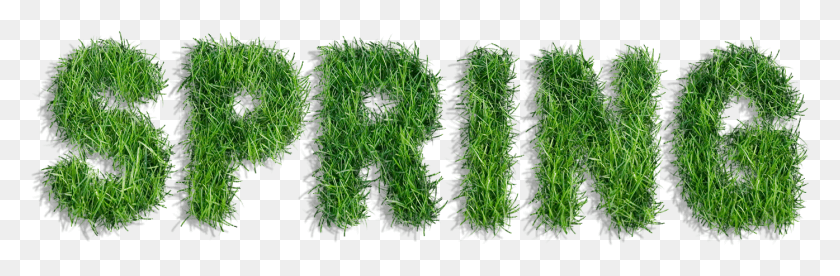 1395x387 Clipart Free Stock Of Gallery Yopriceville High Hornwort, Plant, Green, Grass HD PNG Download