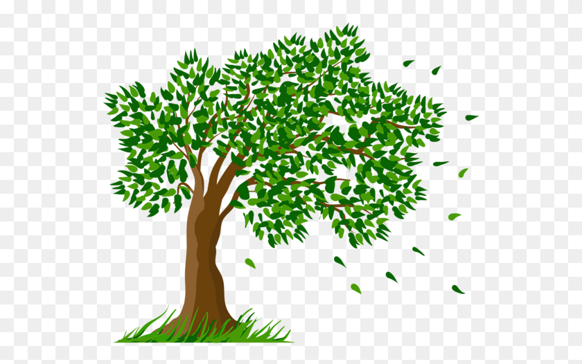 546x466 Clipart Freeuse Collection Of Trees Transparent High Tree Drawing With Flowers, Plant, Vegetation, Leaf HD PNG Download
