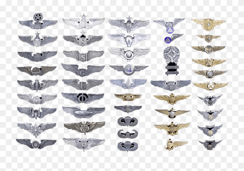 743x529 Clipart Freeuse Where Can I Find Wings Ones Moth, Rug, X-ray, Ct Scan HD PNG Download