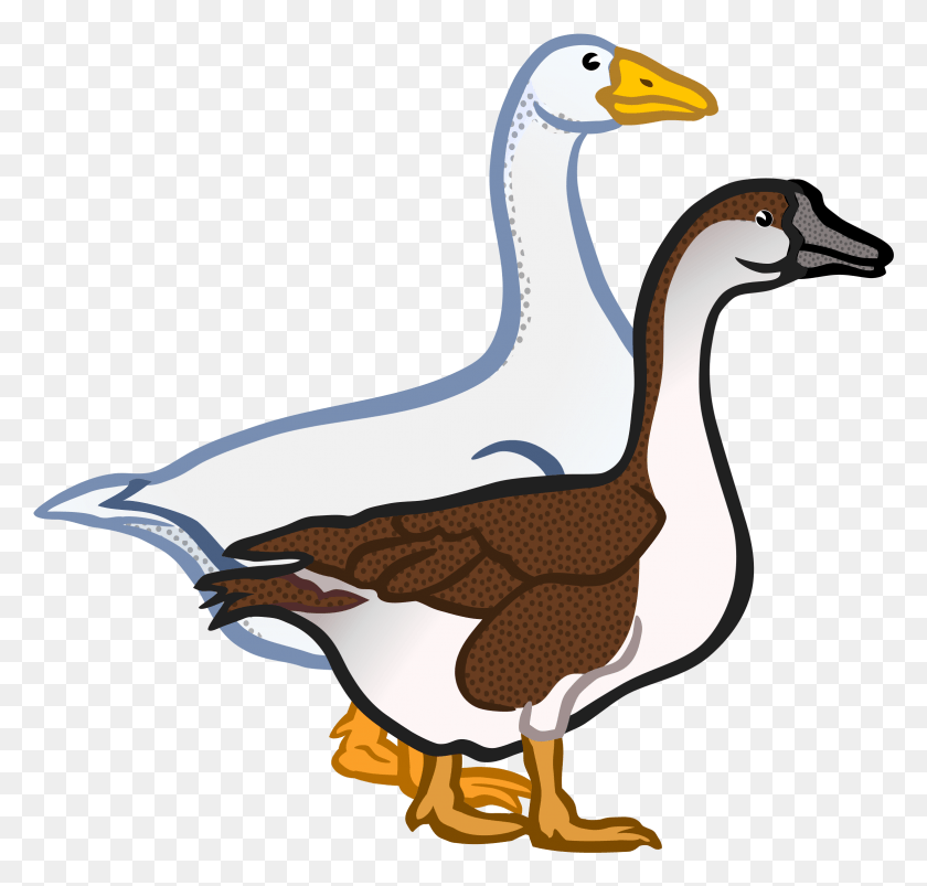2347x2236 Clipart Geese Clipart, Goose, Bird, Animal HD PNG Download