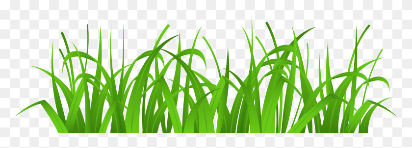 8001x2488 Clipart Grass 4 Grass Flower Transparent Grass Clipart, Plant, Green, Insect HD PNG Download