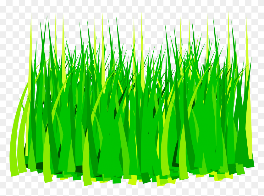 2396x1734 Clipart Grass Grass Clip Art, Green, Plant, Vegetation HD PNG Download