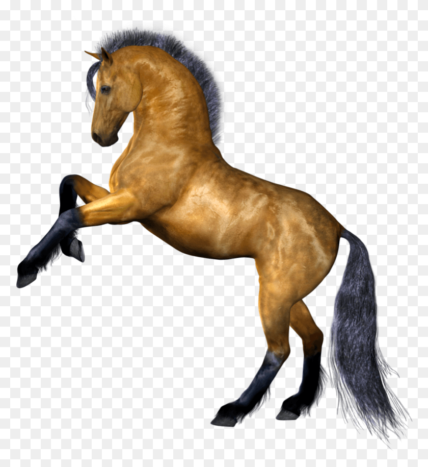781x857 Clipart Horse Best Horse No Background, Mammal, Animal, Stallion HD PNG Download