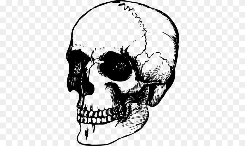 Human Head Outline, Gray Clipart PNG