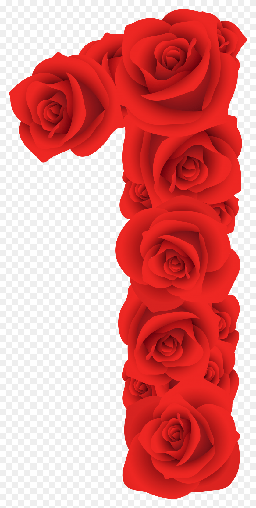 3331x6859 Клипарт Изображения Номер Один Adobe Photoshop Красные Розы, Роза, Цветок, Растение Hd Png Скачать