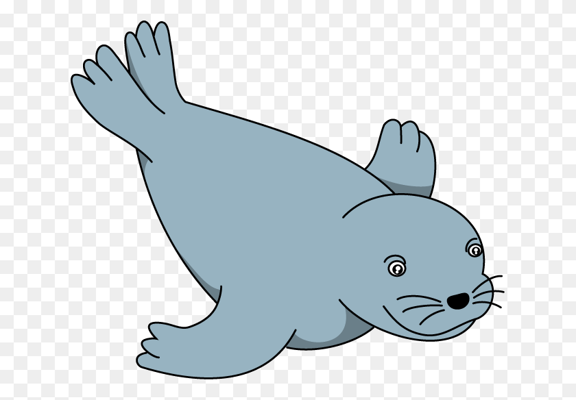 633x524 Clipart Info Seal Clipart, Animal, Shark, Sea Life HD PNG Download