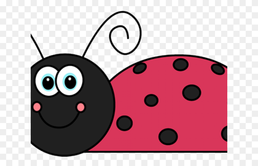 640x480 Clipart Ladybird No Spots, Disk, Food, Texture HD PNG Download