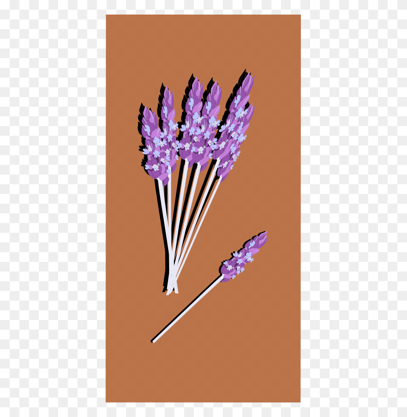 403x800 Clipart Lavender04 French Lavender, Plant HD PNG Download