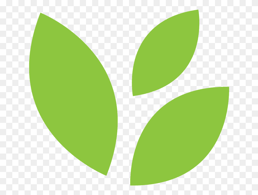 653x575 Clipart Leaf 0 0 Rainforest Journey Life Science Leaf Minimal, Verde, Pelota De Tenis, Pelota Hd Png