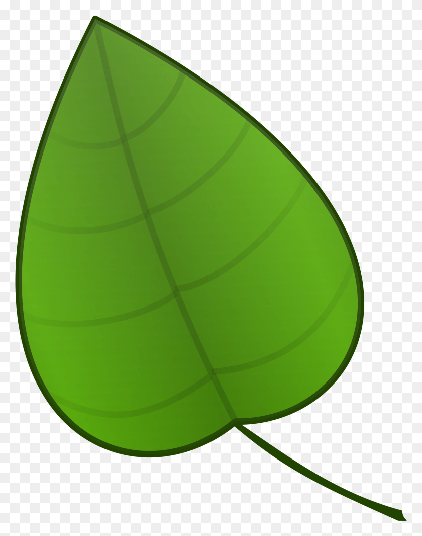 1552x2000 Clipart Leaf Green Things Clip Art, Plant, Tennis Ball, Tennis HD PNG Download