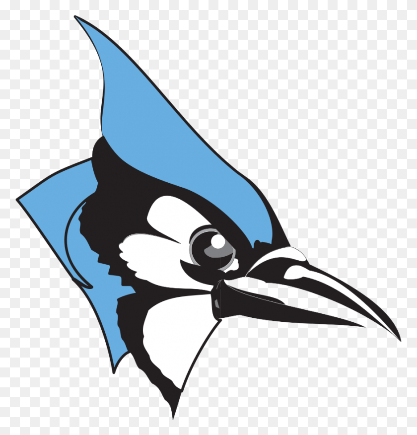 874x915 Clipart Library Library Hopkins Jays Clipart Blue Jay Clip Art, Beak, Bird, Animal HD PNG Download