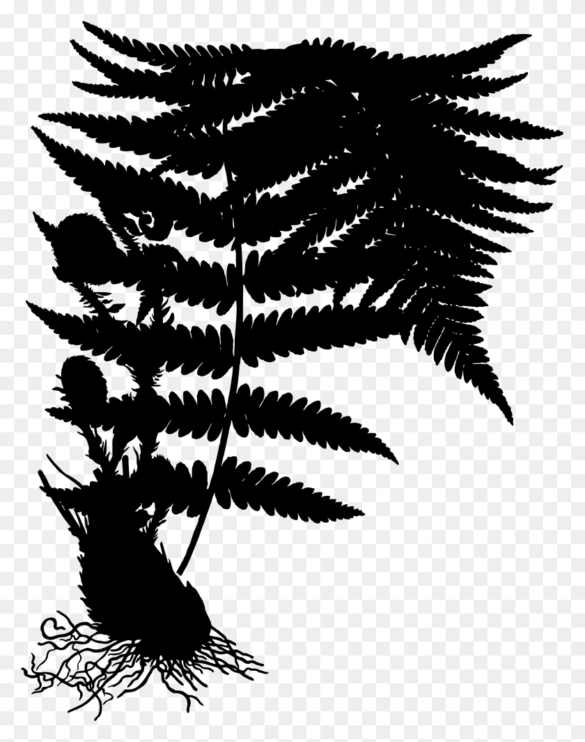 1863x2400 Clipart Male Silhouette Big Image Dryopteris Filix Mas, Gray, World Of Warcraft HD PNG Download